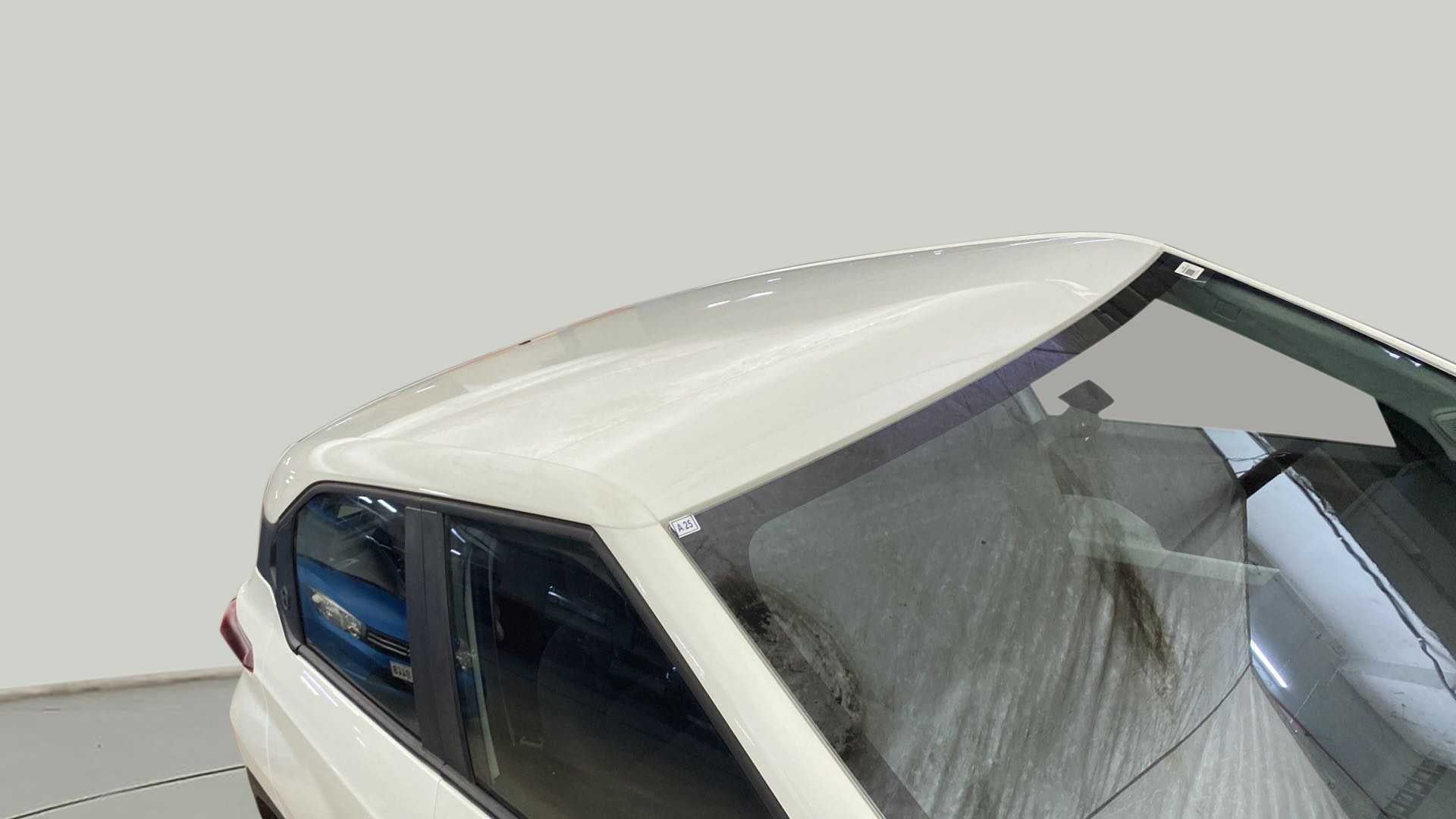 Roof close-up of a Orcus White Tata Punch