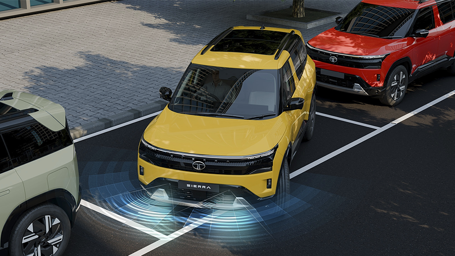 Front view of a Bengal Rouge with DT Tata Sierra