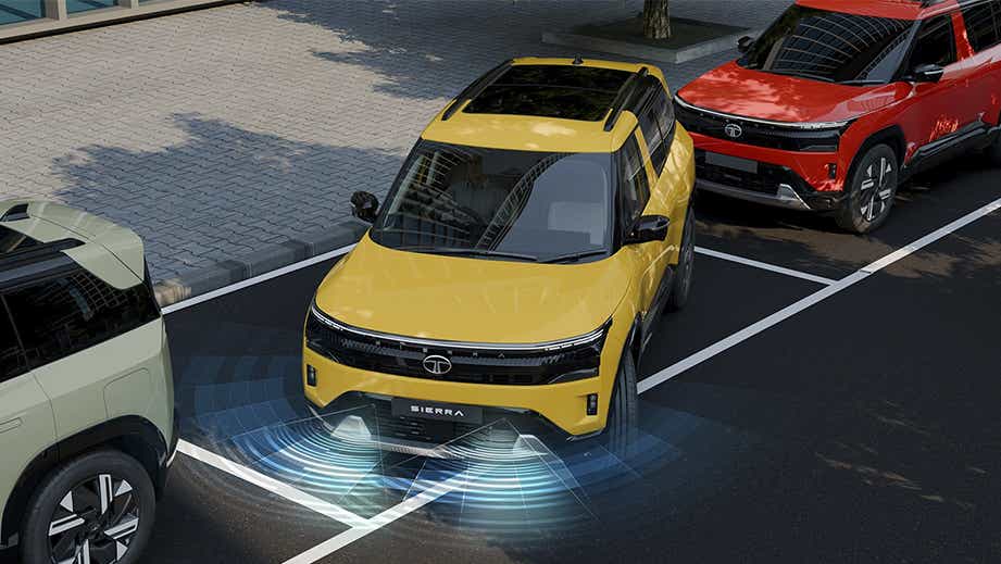 Front view of a Bengal Rouge with DT Tata Sierra